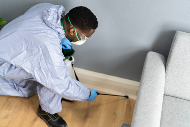 Best Real Estate Pest Inspections  in Star Valley, AZ